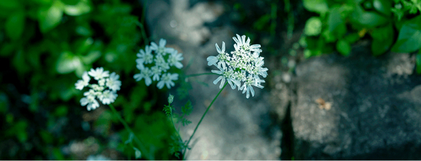 Communication policy titlePhoto