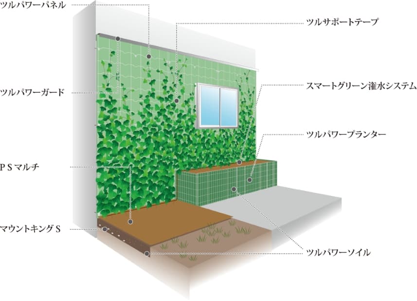 ヘデラ登ハンシステム