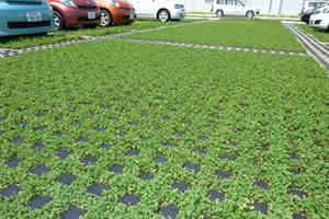 駐車場緑化用システム GreenTechnoParking施工事例