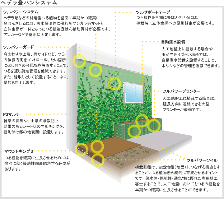 ヘデラ登ハンシステムの説明図